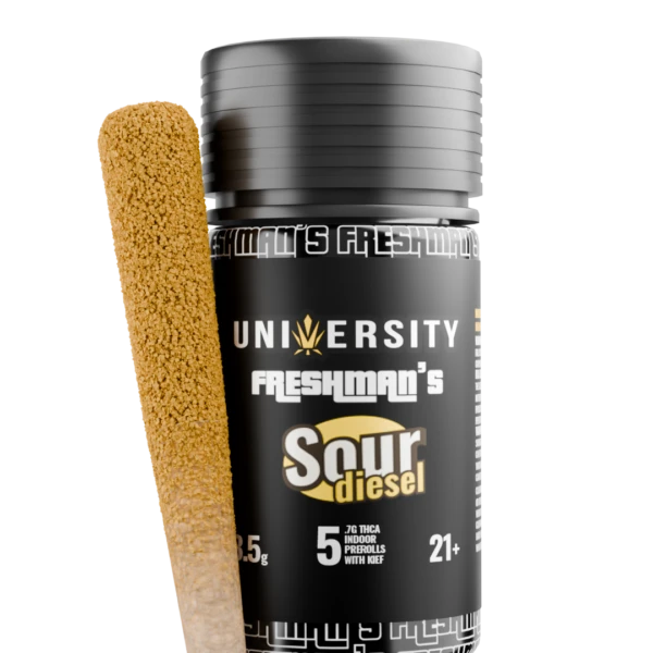 Freshman THCA – Sour Diesel – NO BG