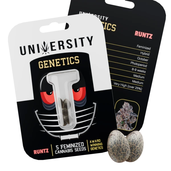 Seeds – Runtz – NO BG